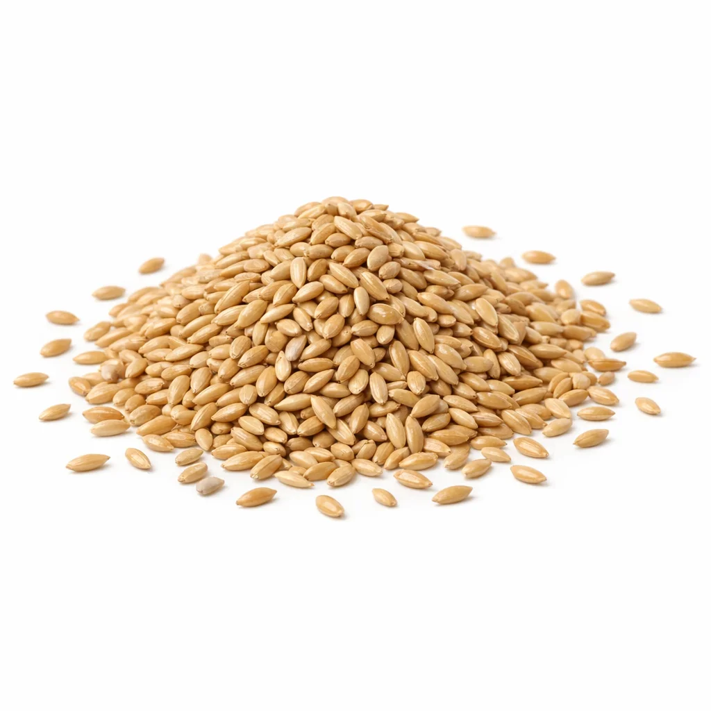 Canary Seed