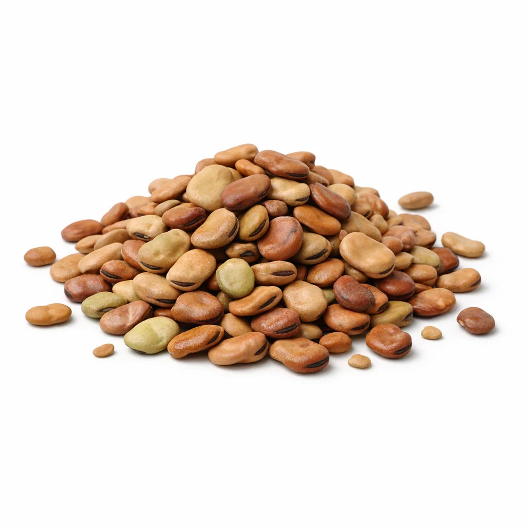 Faba Beans