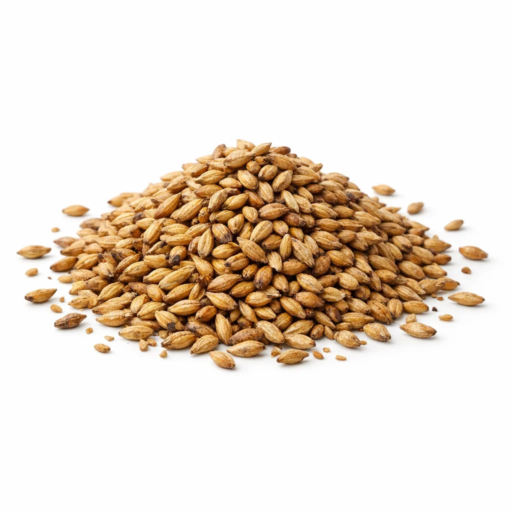 Malt Barley
