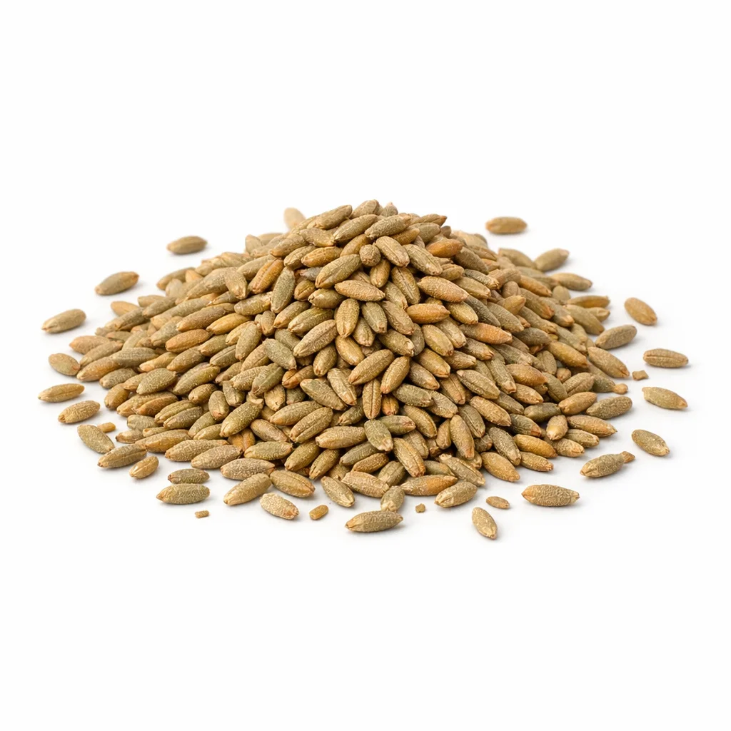 Rye