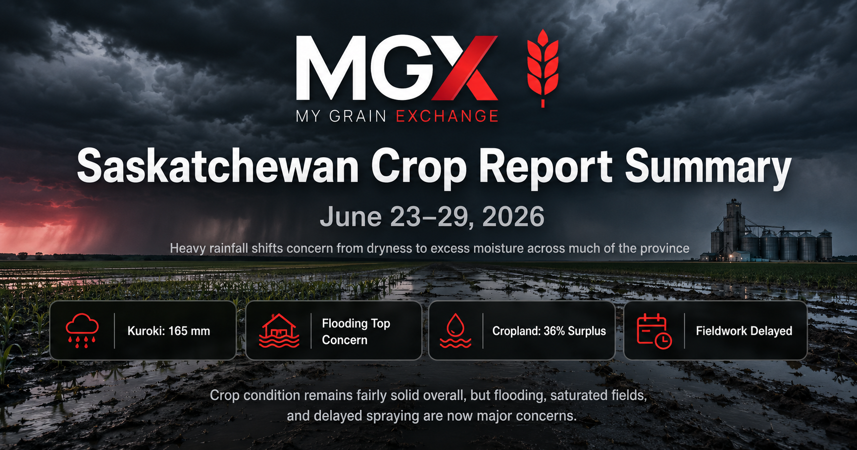 Saskatchewan Crop Report Summary: June 23 to 29, 2026