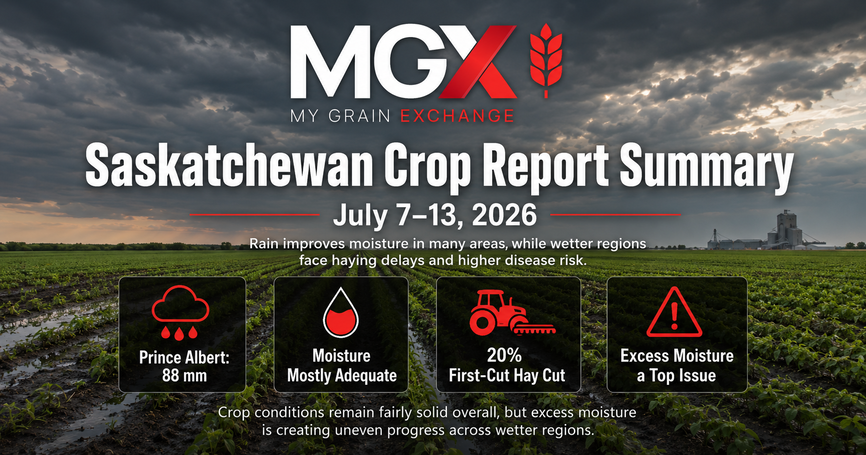Saskatchewan Crop Report Summary: July 7 to July 13, 2026