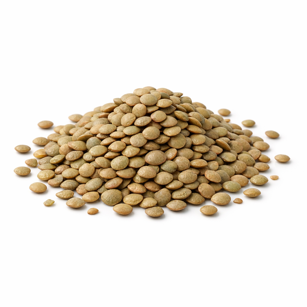 Large Green Lentils