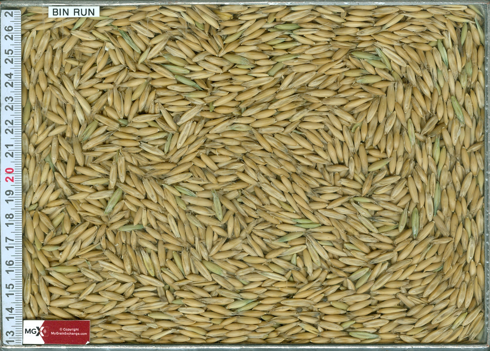 Oats