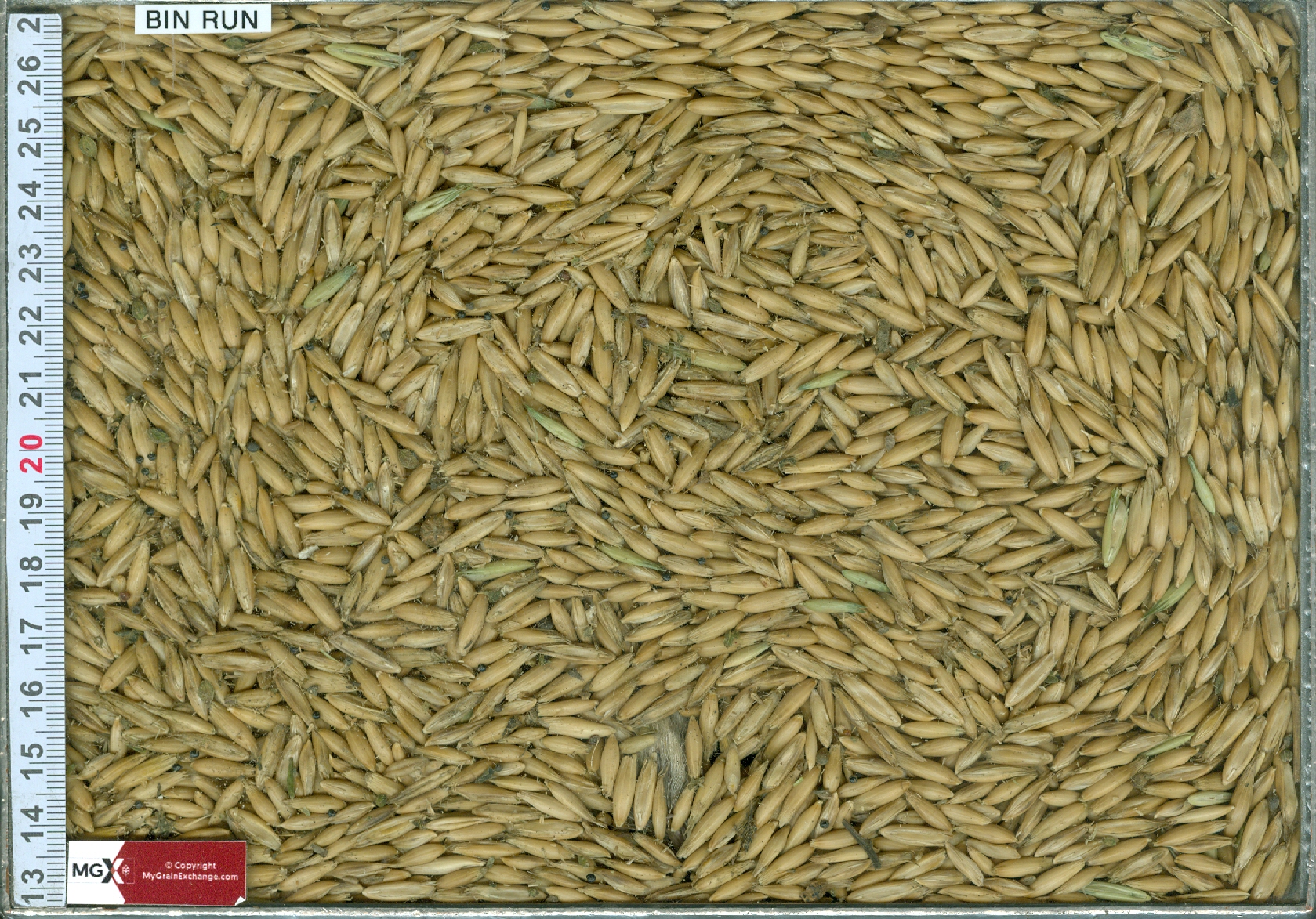 Oats