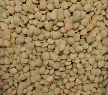 Lentils - Small Green