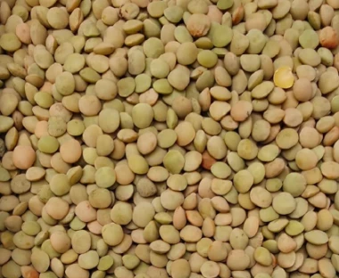 Lentils - Small Green