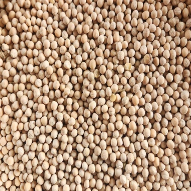 Yellow Peas