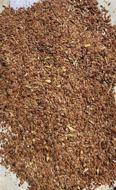 Flax