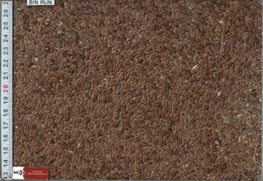 Flax