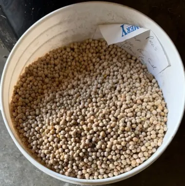 Yellow Peas