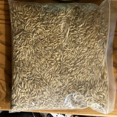 Oats