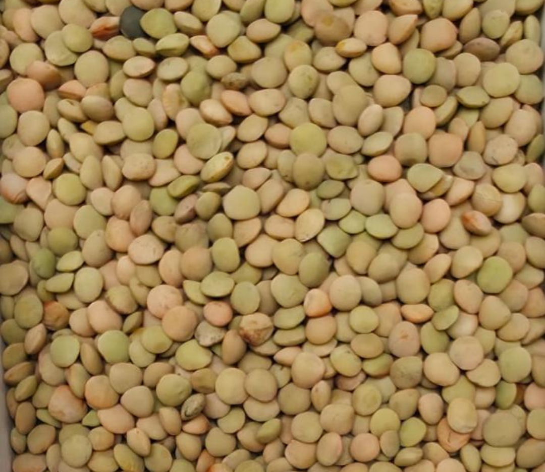 Lentils - Small Green