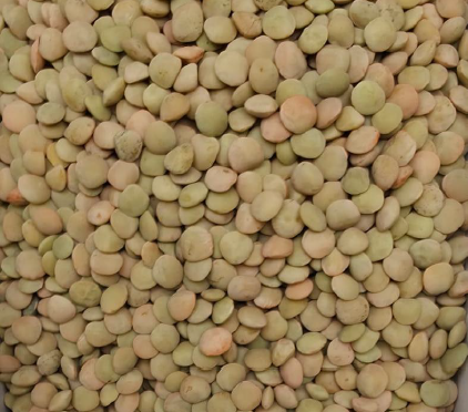 Lentils - Small Green