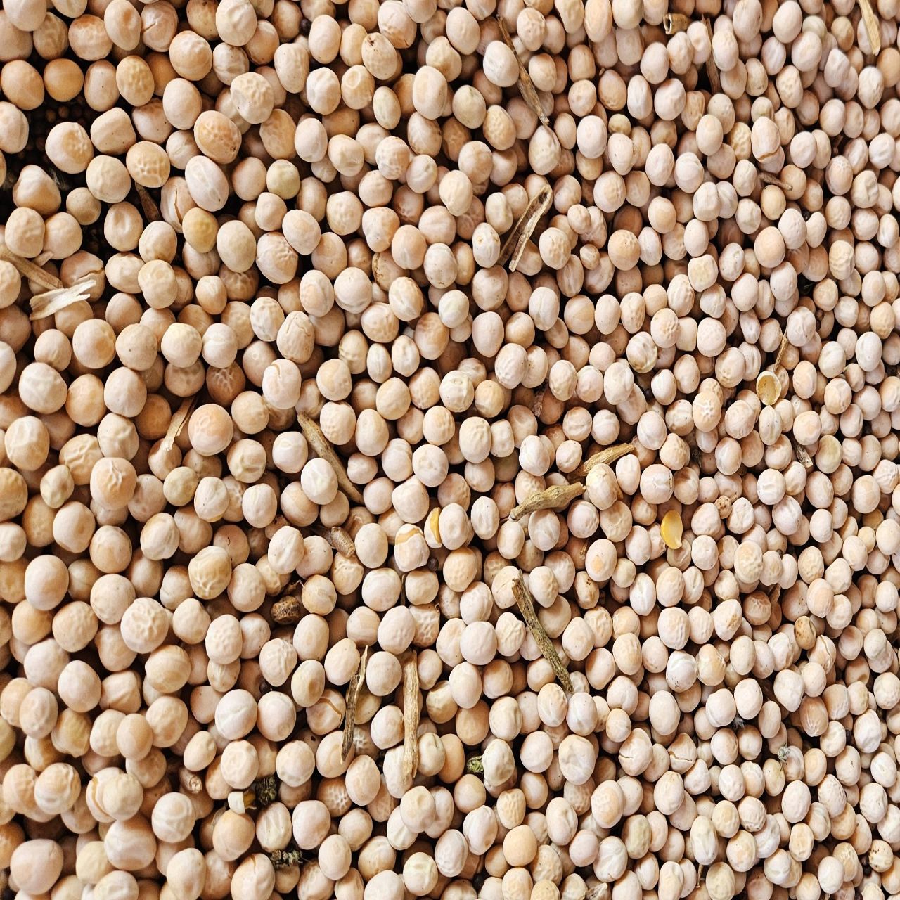Yellow Peas