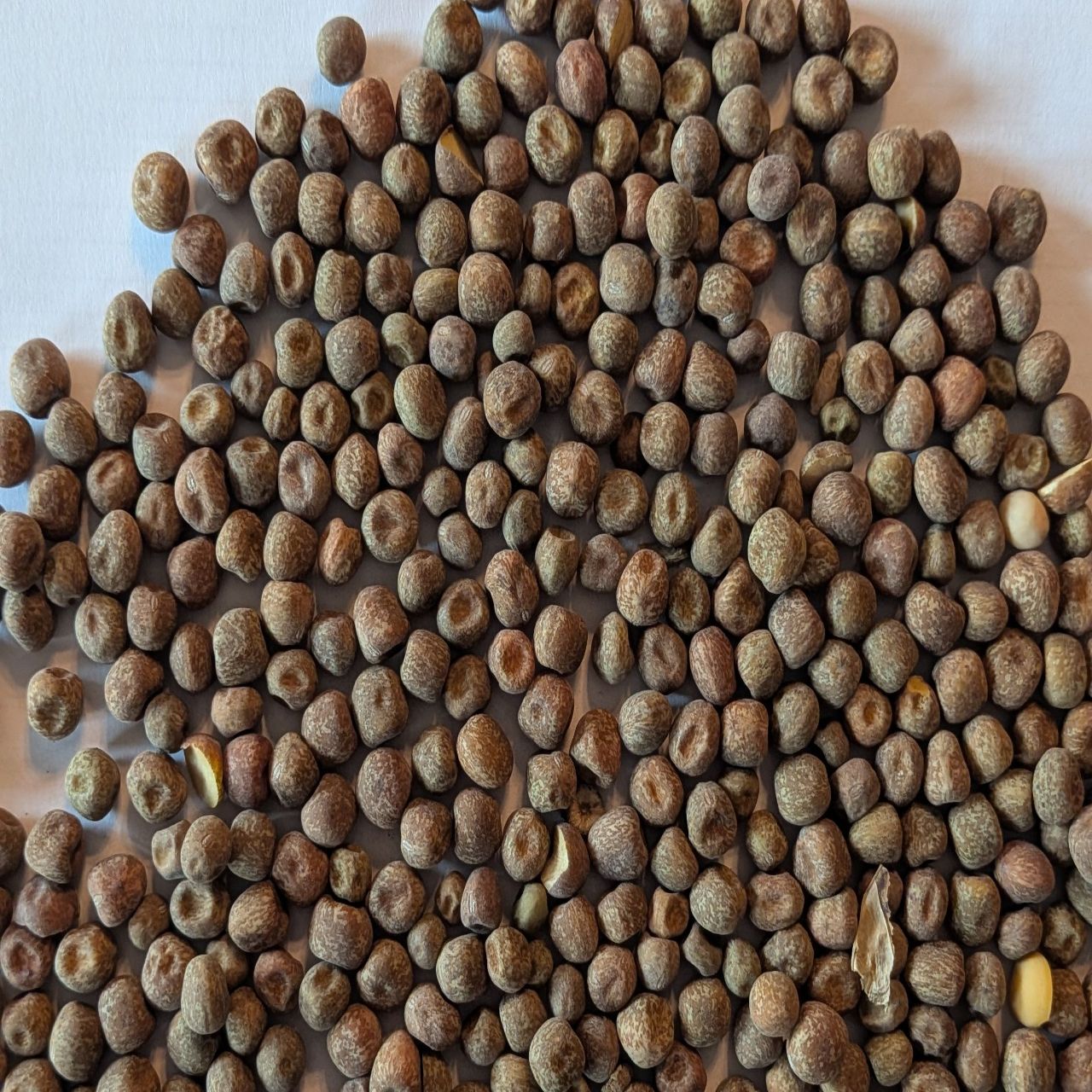 Maple Peas