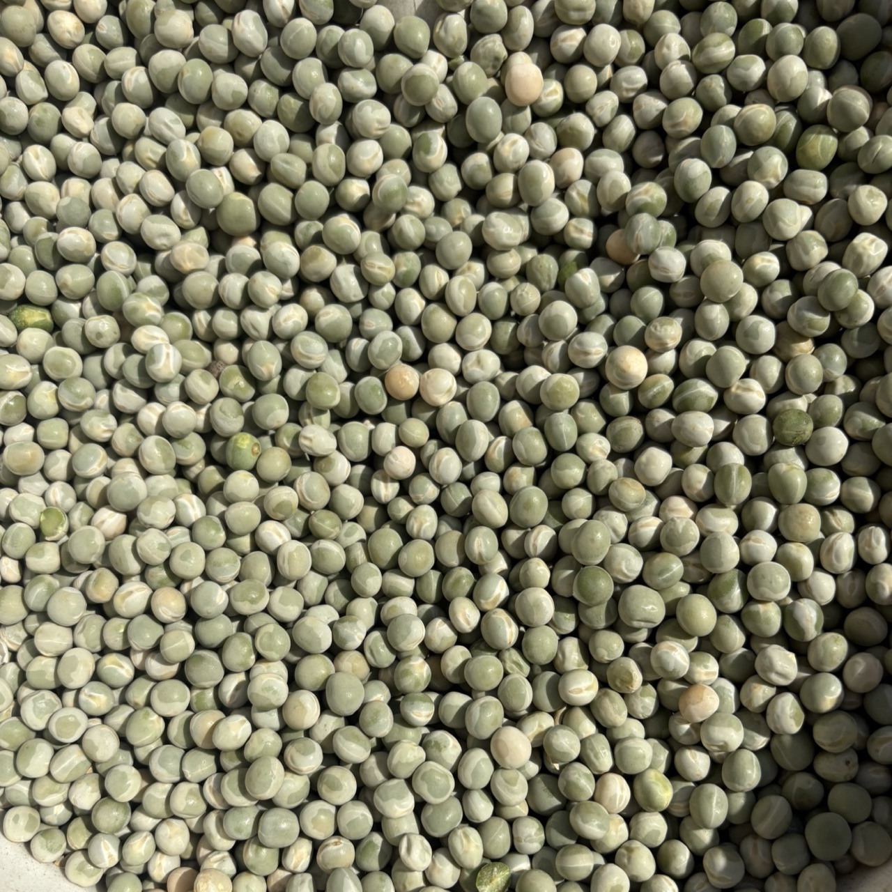 Green Peas