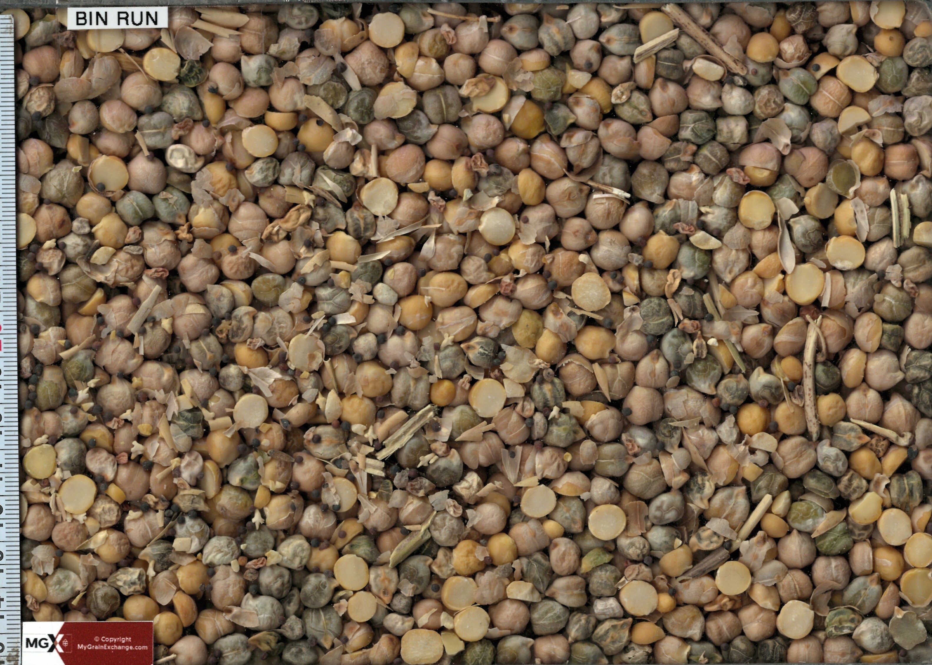 Chickpeas Screenings