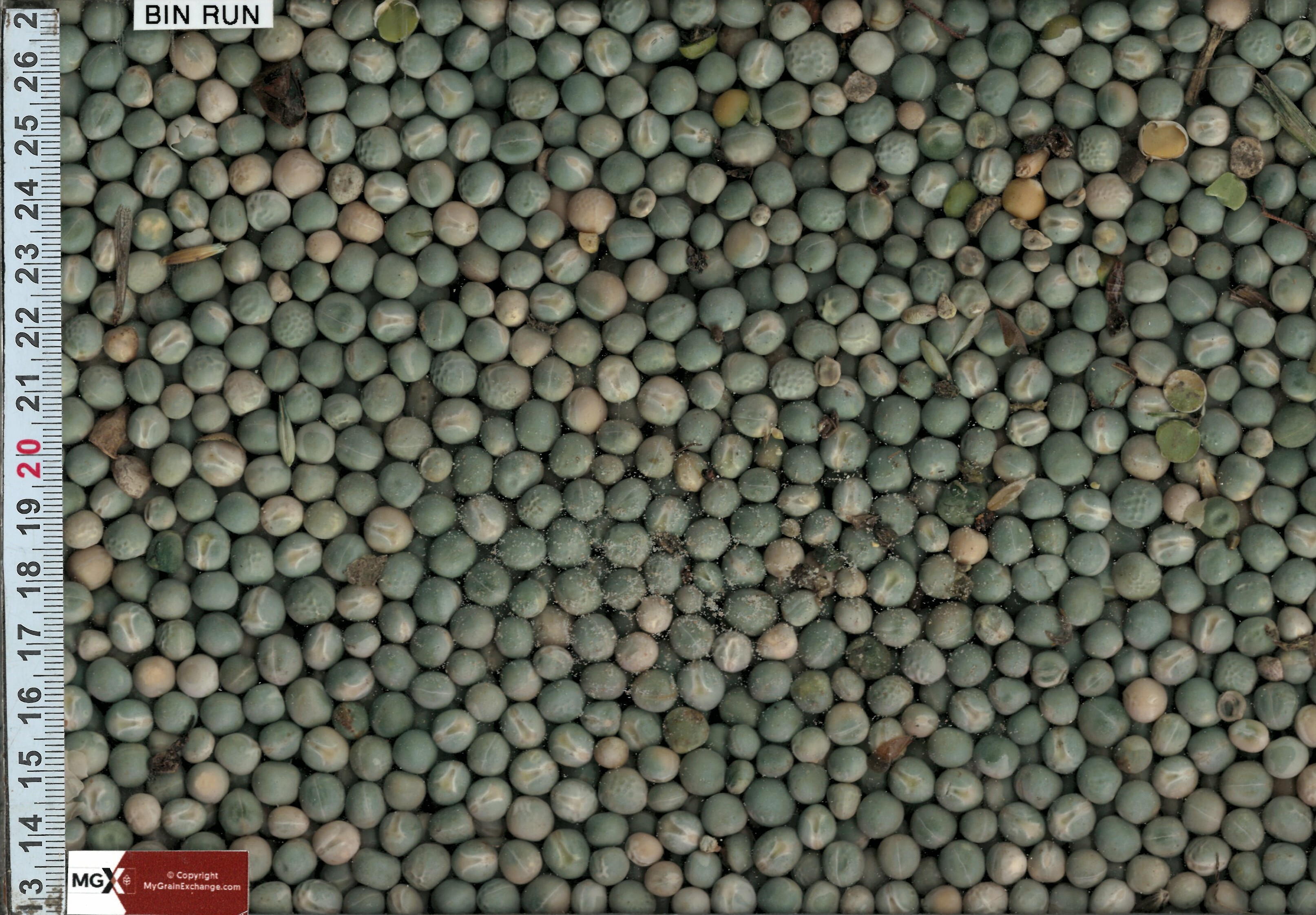 Green Peas