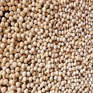 Yellow Peas