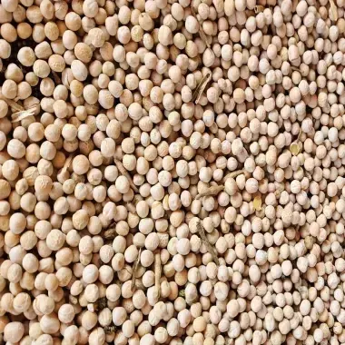 Yellow Peas