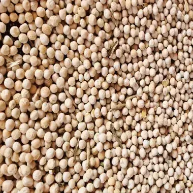 Yellow Peas