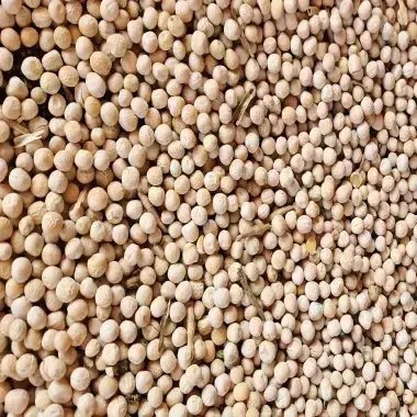 Yellow Peas