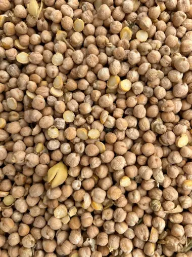 Kabuli Chickpeas